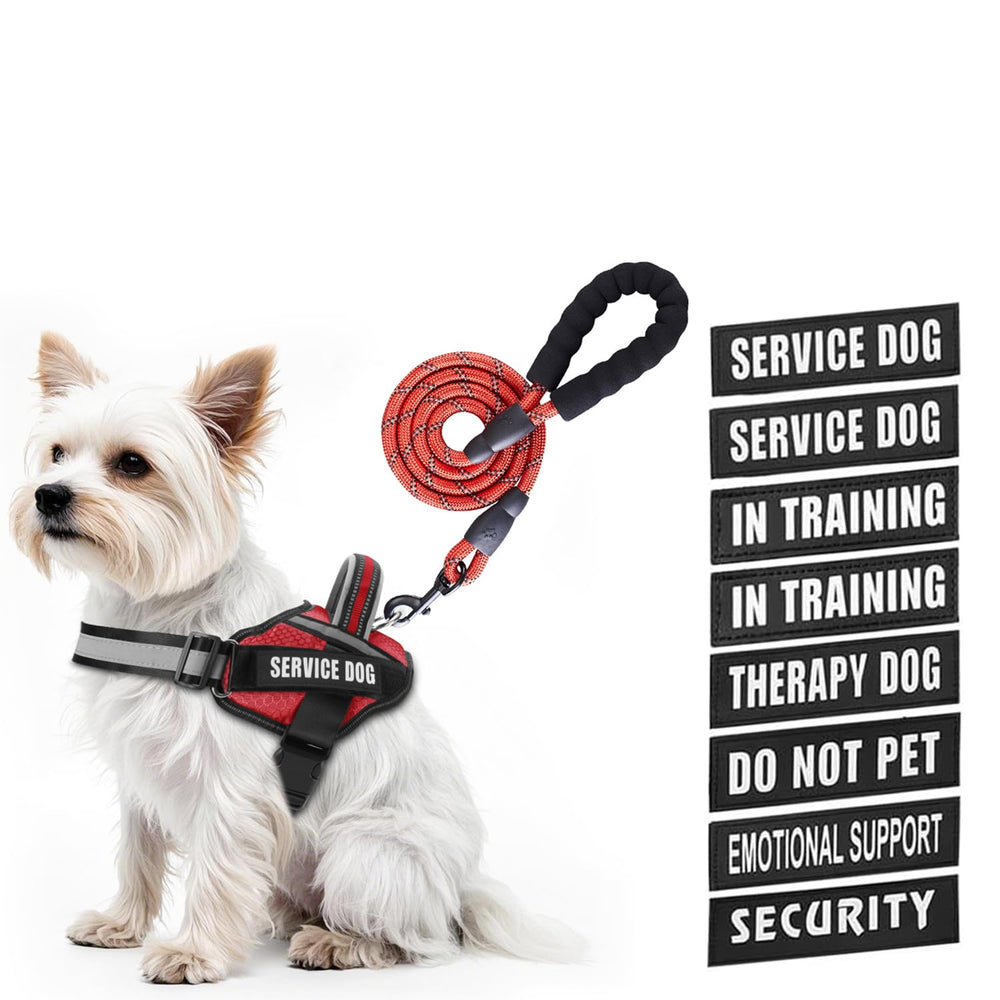Harnais Animire avec patches Velcro affichant messages utiles pour chien en formation.
