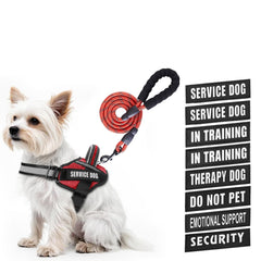 Harnais Animire avec patches Velcro affichant messages utiles pour chien en formation.