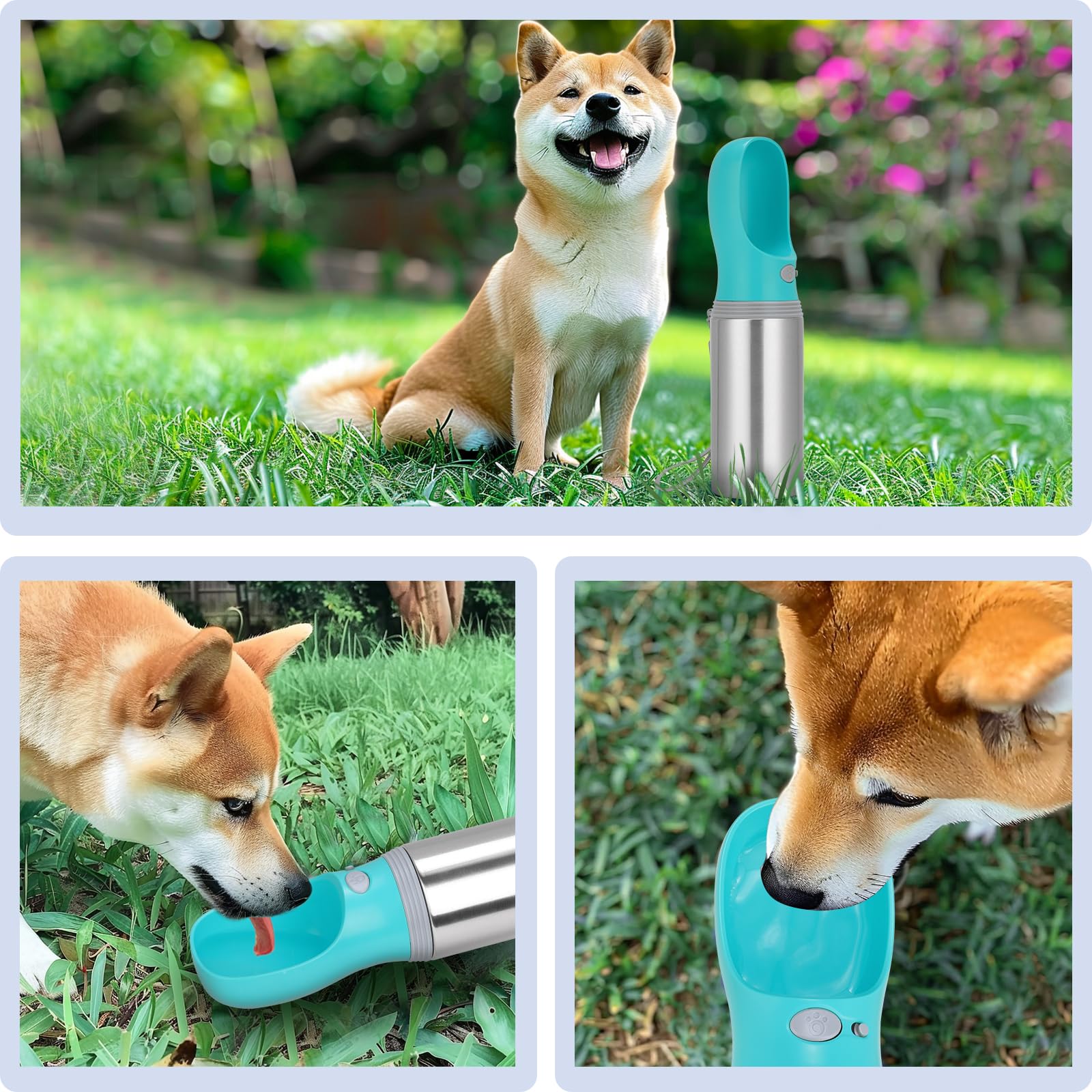 Anipaw bouteille d'eau portable pour chien dans un sac, pratique et anti-fuite
