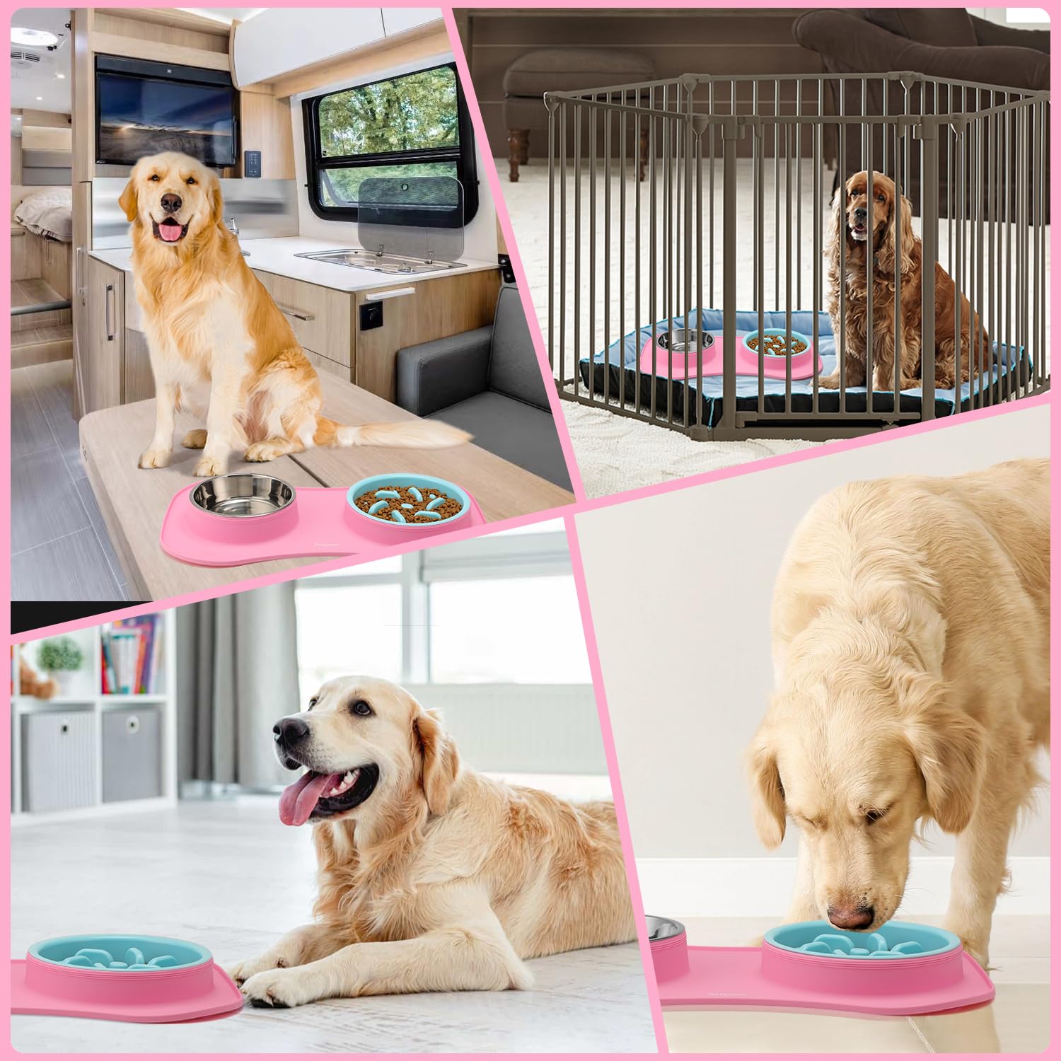 Anipaw utilisation chiens et chats en rose et bleu, convient a toutes tailles.