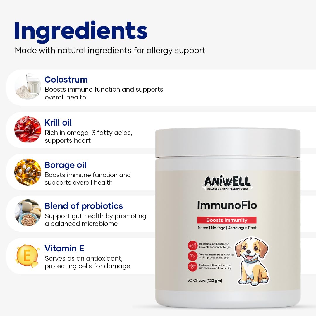 Aniwell ImmunoFlo : gros plan sur le curcuma biologique.