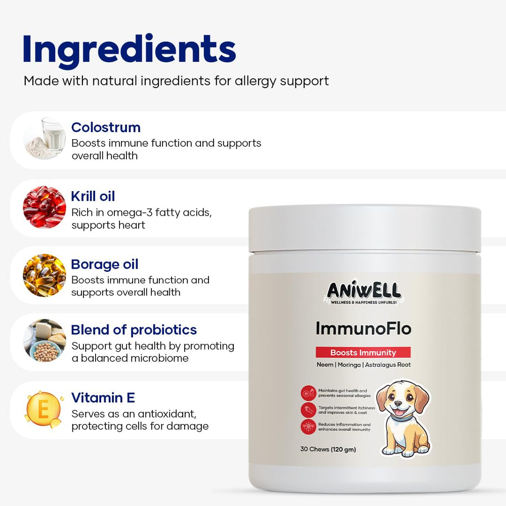 Aniwell ImmunoFlo : gros plan sur le curcuma biologique.