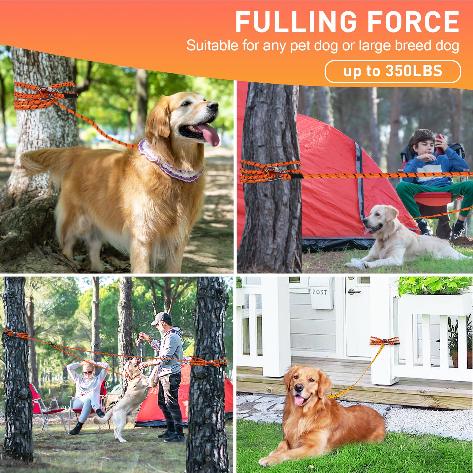 ANKEWY corde camping légère pour chien et déplacements faciles.