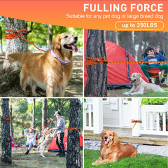 ANKEWY corde camping légère pour chien et déplacements faciles.