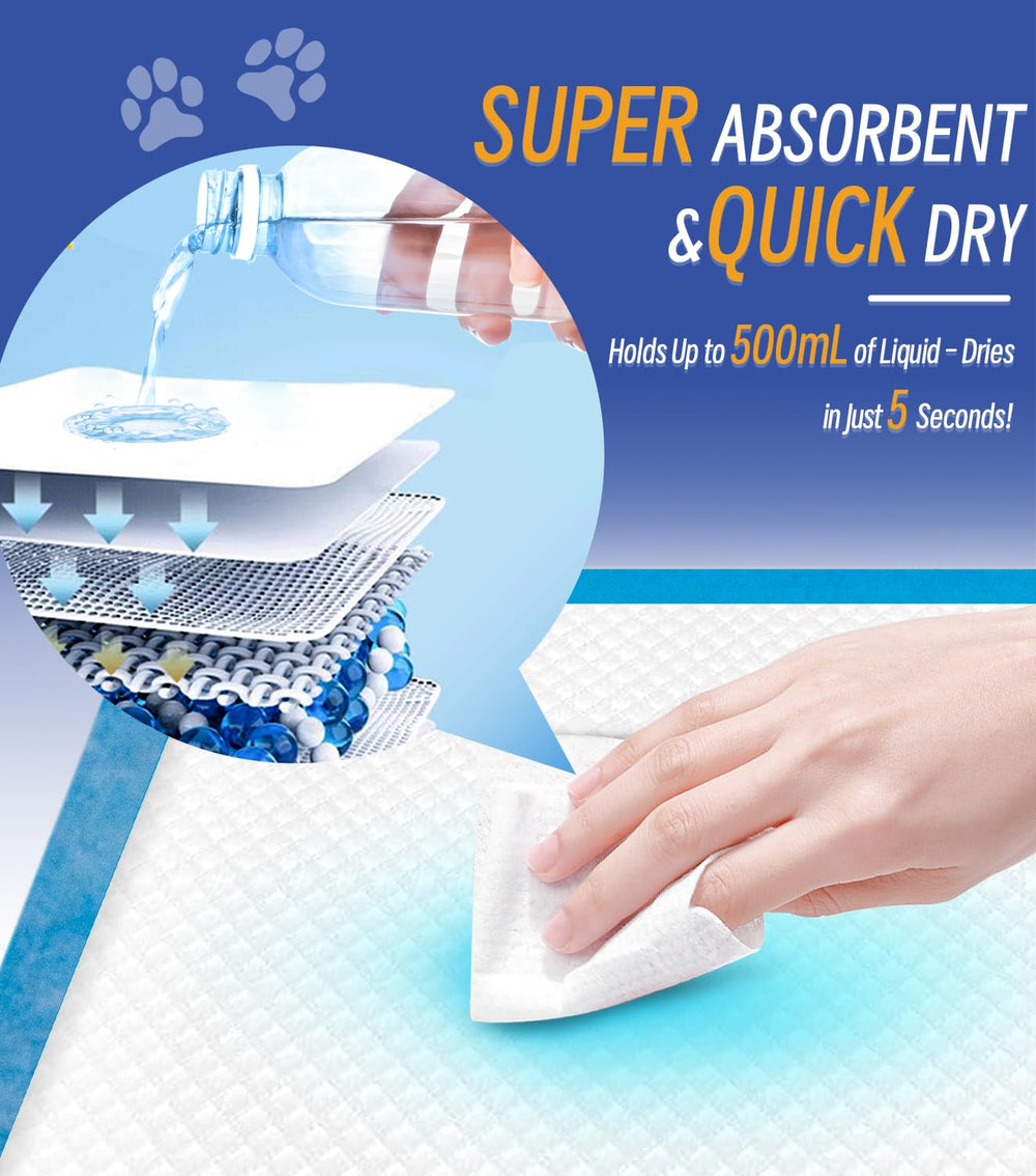 Tapis ANKEXIN XL 30x36 absorption rapide et confort