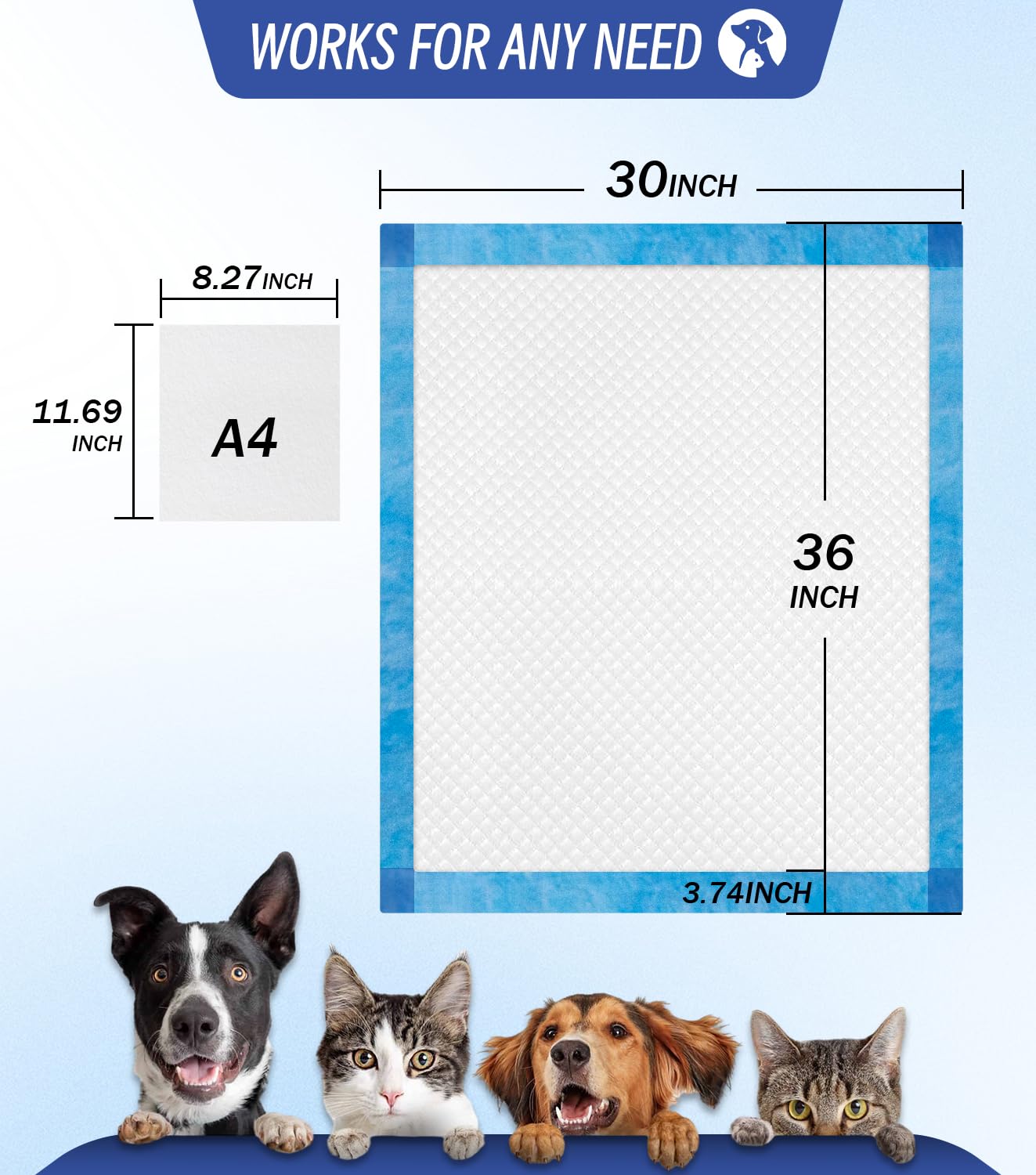 Tapis ANKEXIN XL 30x36 controle des odeurs à l’intérieur