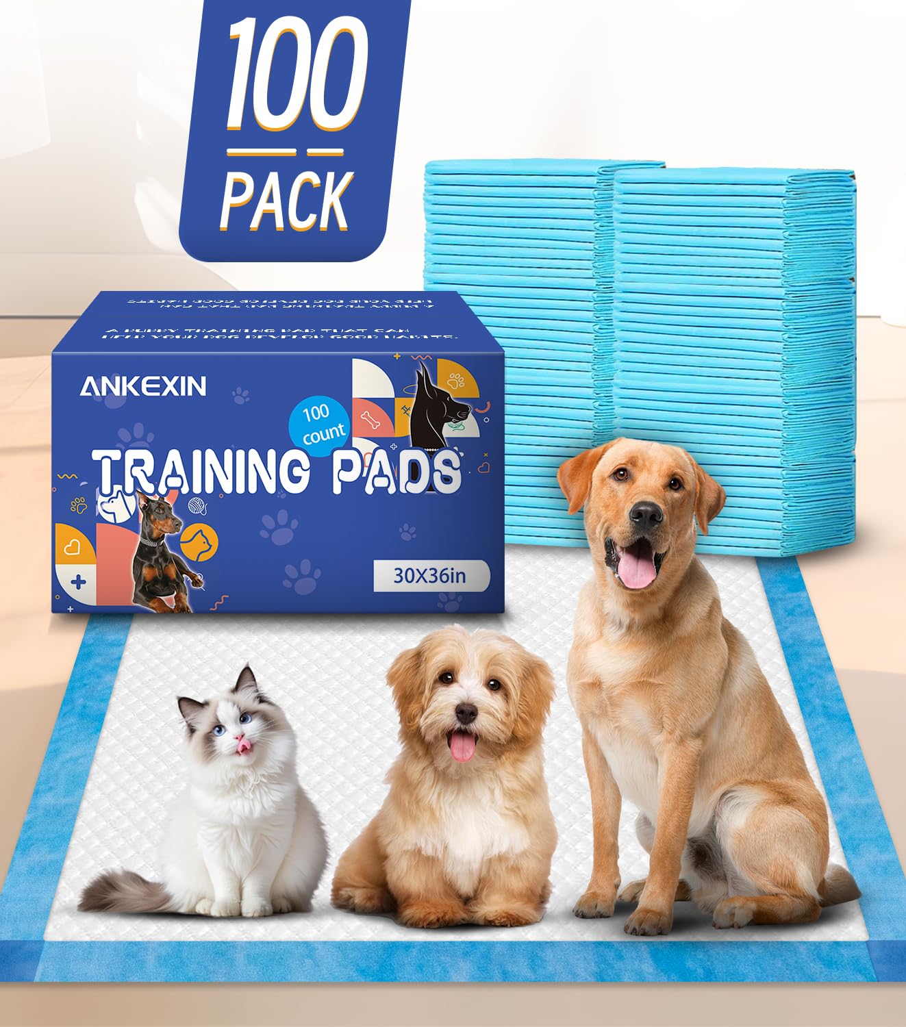 Tapis ANKEXIN XL 30x36 guidage chiots vers la zone ciblée