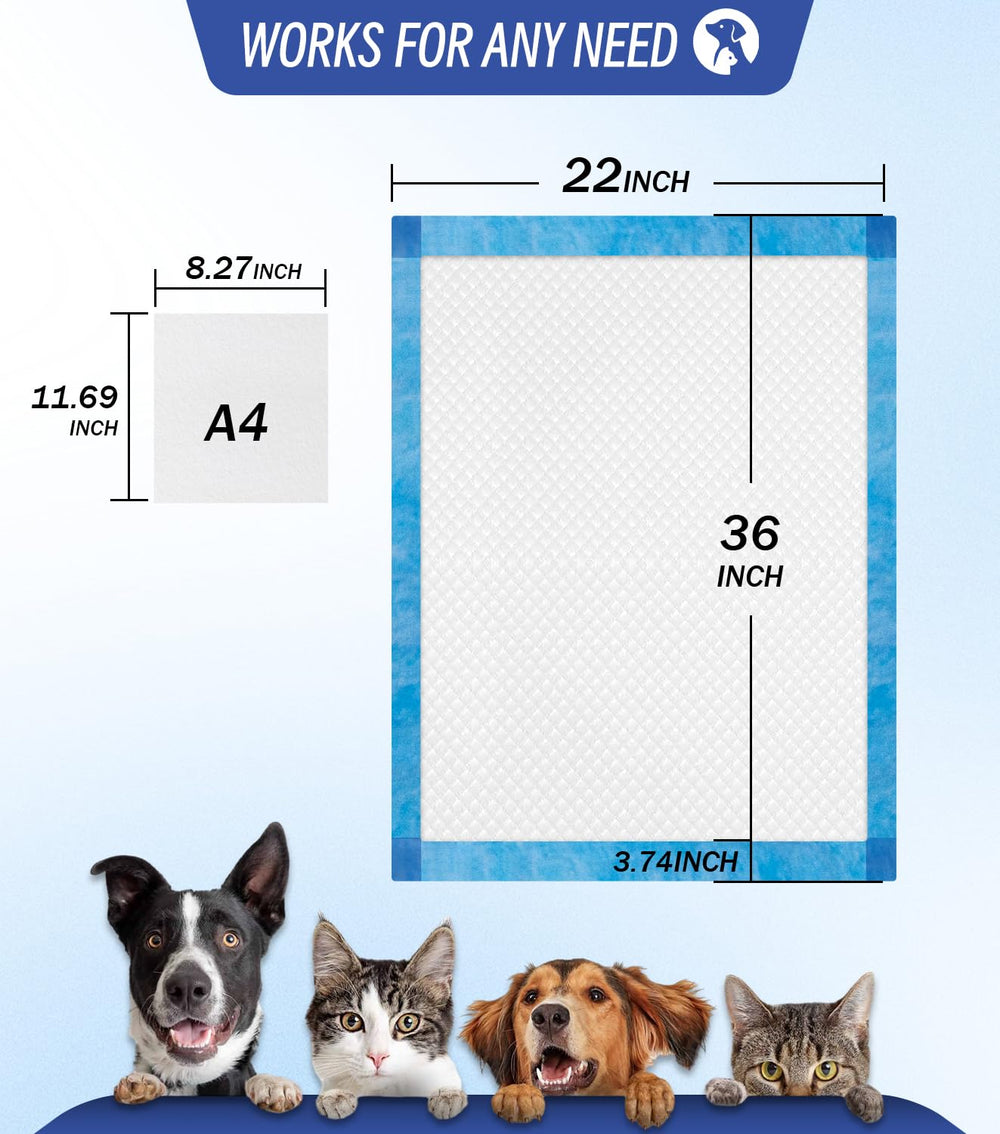 Tapis ANKEXIN absorption triple densité pour retenir plus d'urine