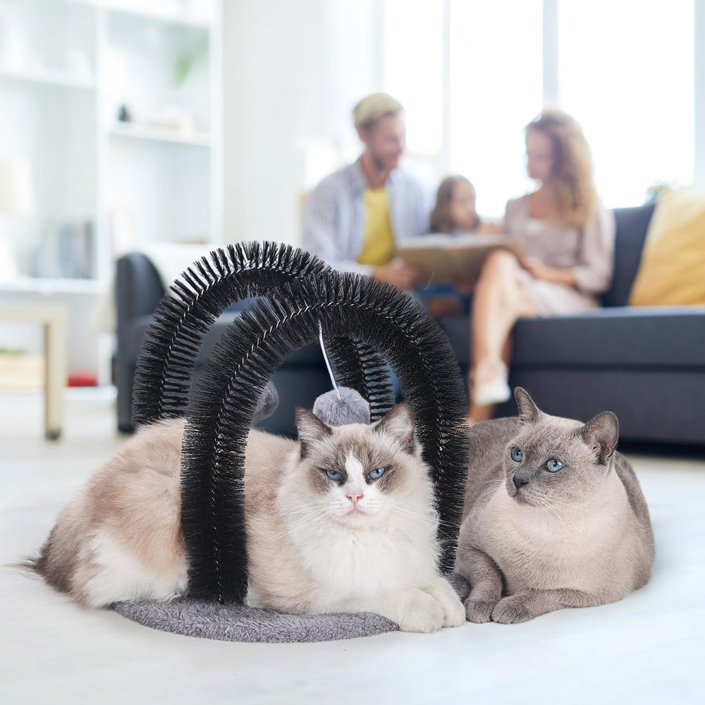 Ankuliy utilisation interieur exterieur: idéal pour chats maison et explorateurs.