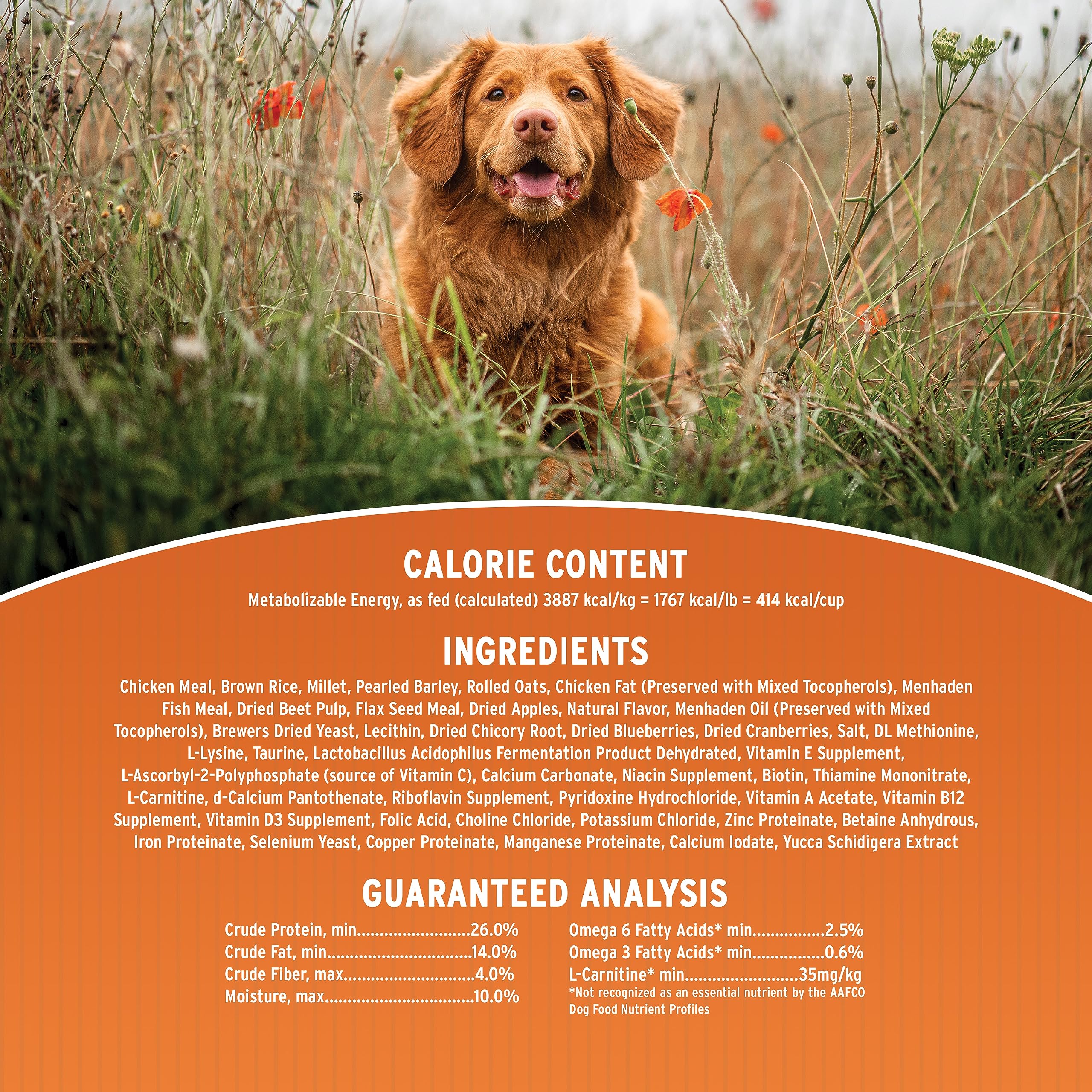 Packaging BioFlex Annamaet Original Puppy, emballage durable et respectueux de l’environnement.