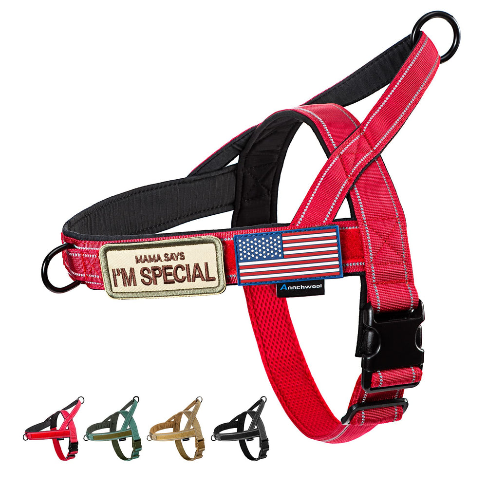 Harnais Annchwool pour chien au toucher rembourré, confort durable lors des promenades.