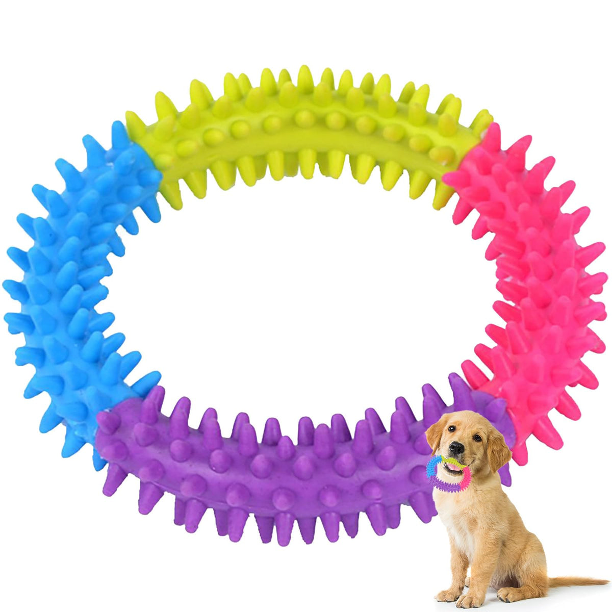 Anneau dentition chiot rouge stimule les gencives et favorise le jeu sûr.