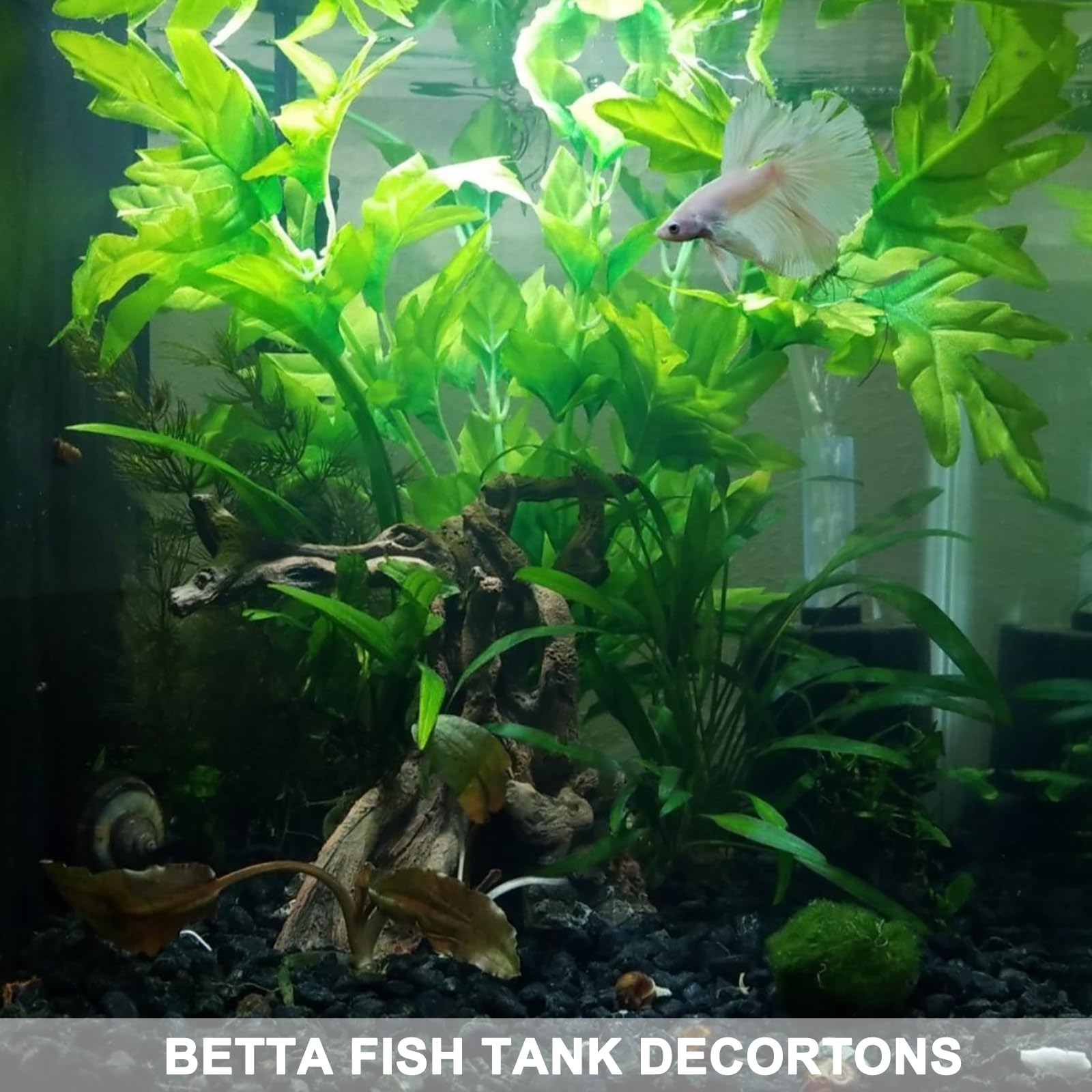 Anranmm Décor Aquarium Tronc Arbre Ambiance Naturelle — enrichit l’habitat terrarium.