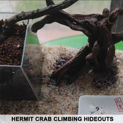 Anranmm Tronc Arbre Artificiel Terrarium Branches — refuges et zones d’escalade.