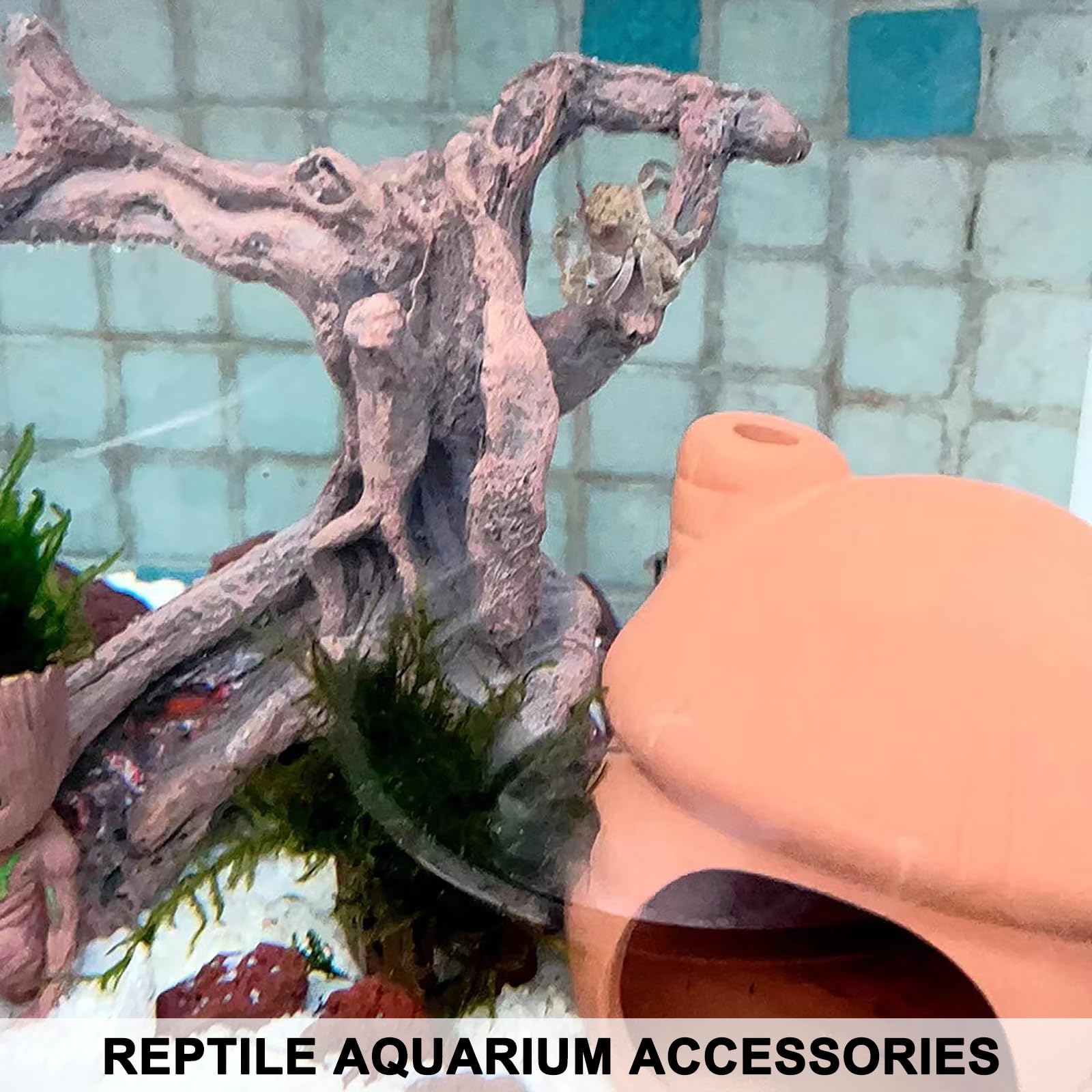Anranmm Tronc Arbre Artificiel Terrarium Ouvertures — cachettes et passages pour animaux.