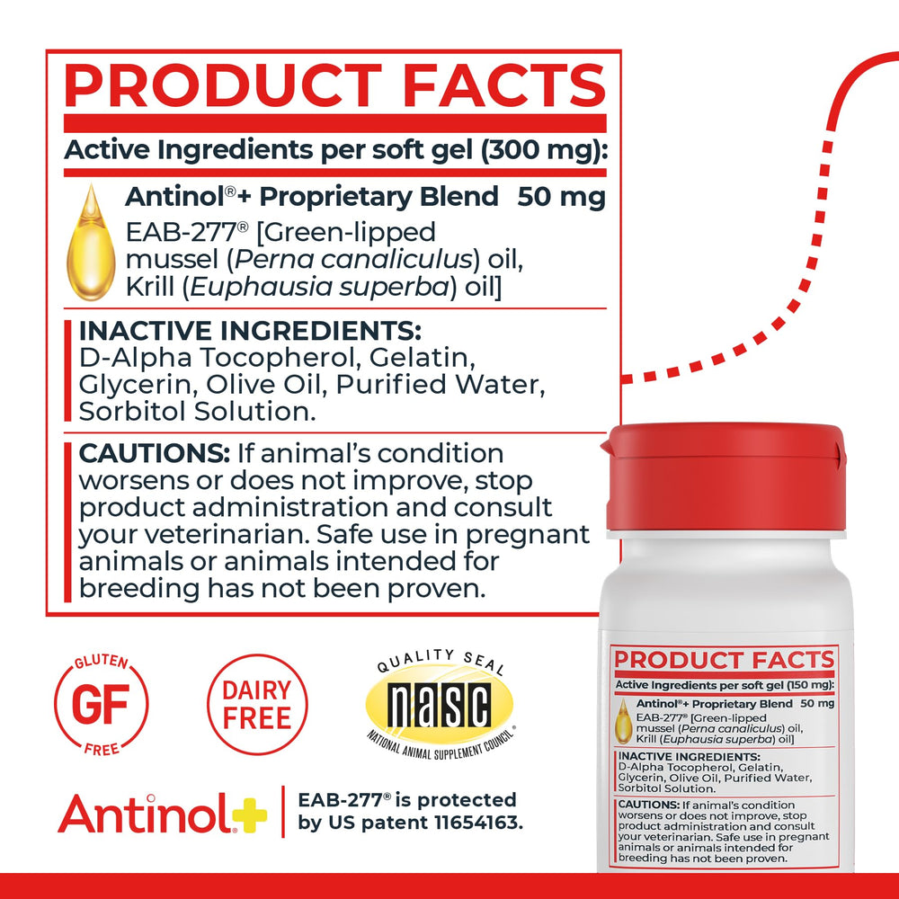 Antinol Plus, chat actif et en mouvement grâce au produit