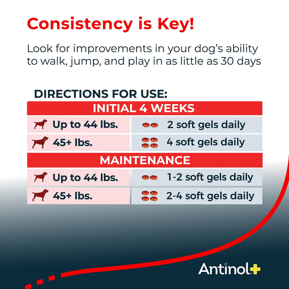 Antinol Plus, étiquette en gros plan, informations claires sur le dosage.