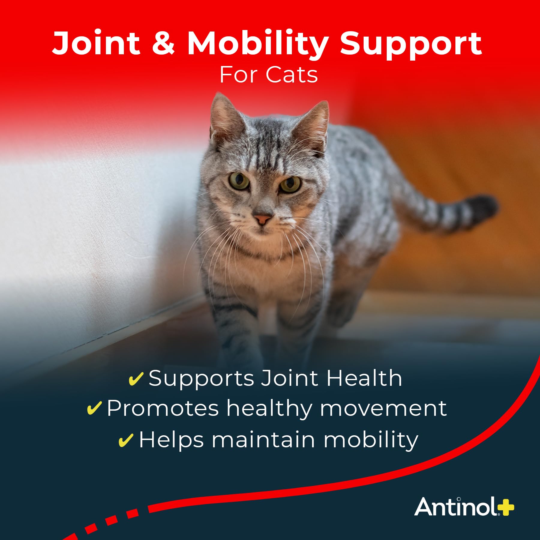 Antinol Plus, oméga-3 riches en EPA et DHA pour la mobilité