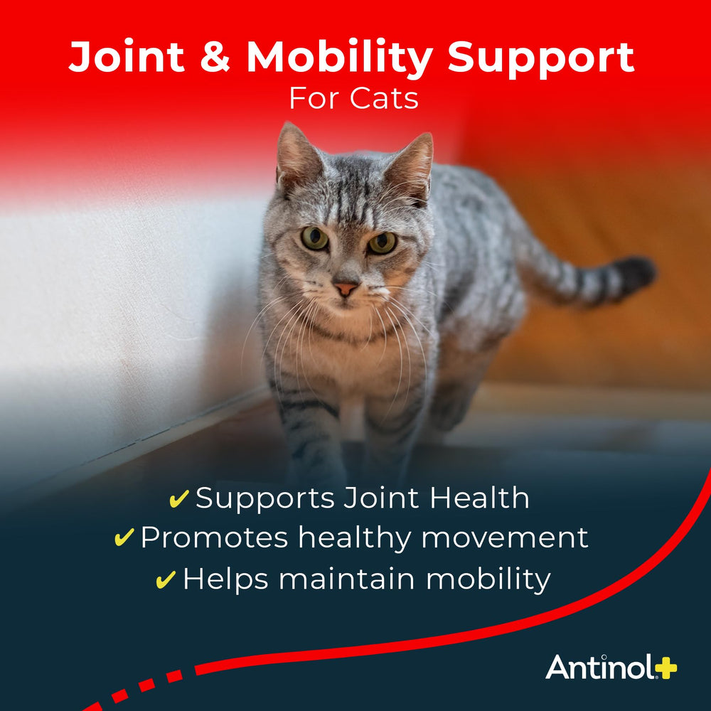 Antinol Plus, oméga-3 riches en EPA et DHA pour la mobilité