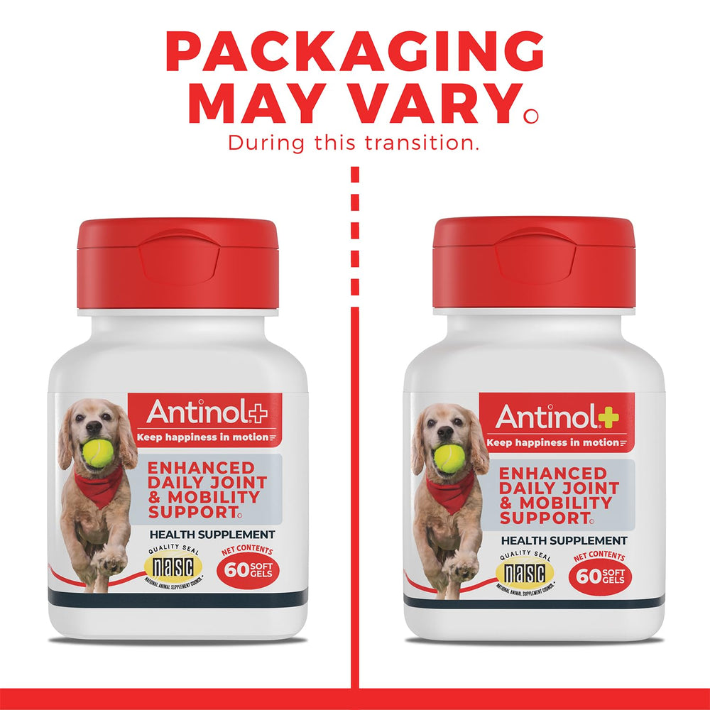 Emballage Antinol Plus contenant 60 ou 90 gélules, pratique.