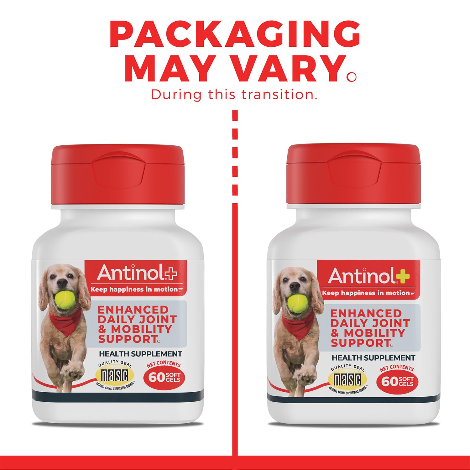 Antinol Plus – propriétés antioxydantes et Omega-3 soutenant les articulations.