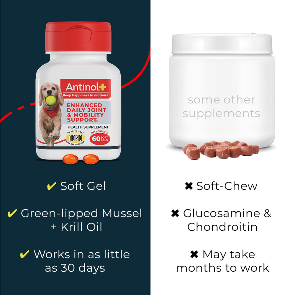 Routine quotidienne facilitée avec Antinol Plus pour chiens.
