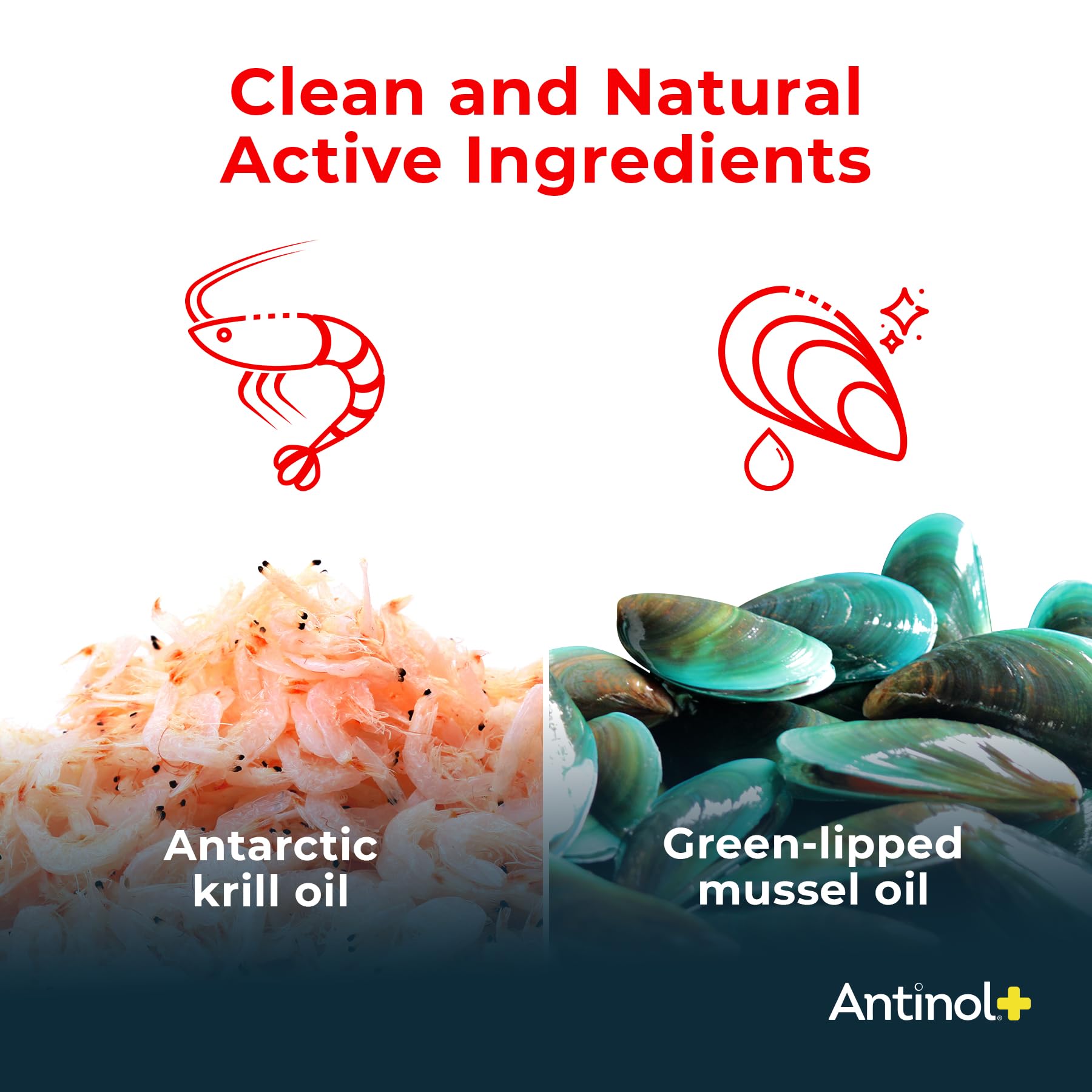 Antinol Plus, bouchon facile à ouvrir pour dosage pratique