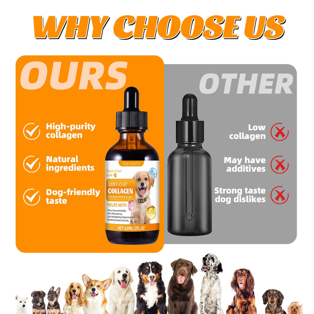 ANTIVP collagène chien soutien immunitaire et bien etre général