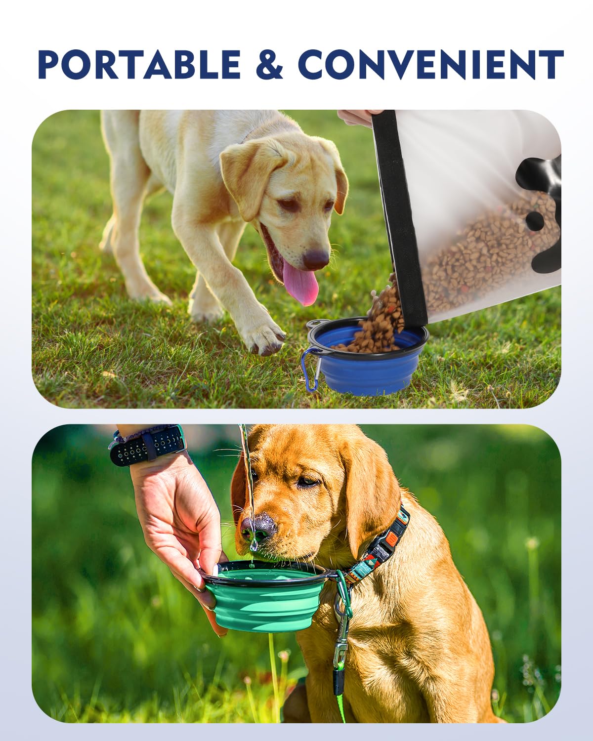 ANVS utilisation en voyage: transporter facilement la nourriture du chien