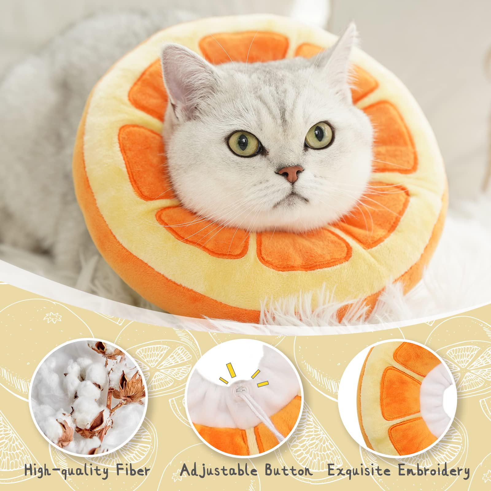 Chat portant le collier conique ANWA, liberté pour manger et jouer.