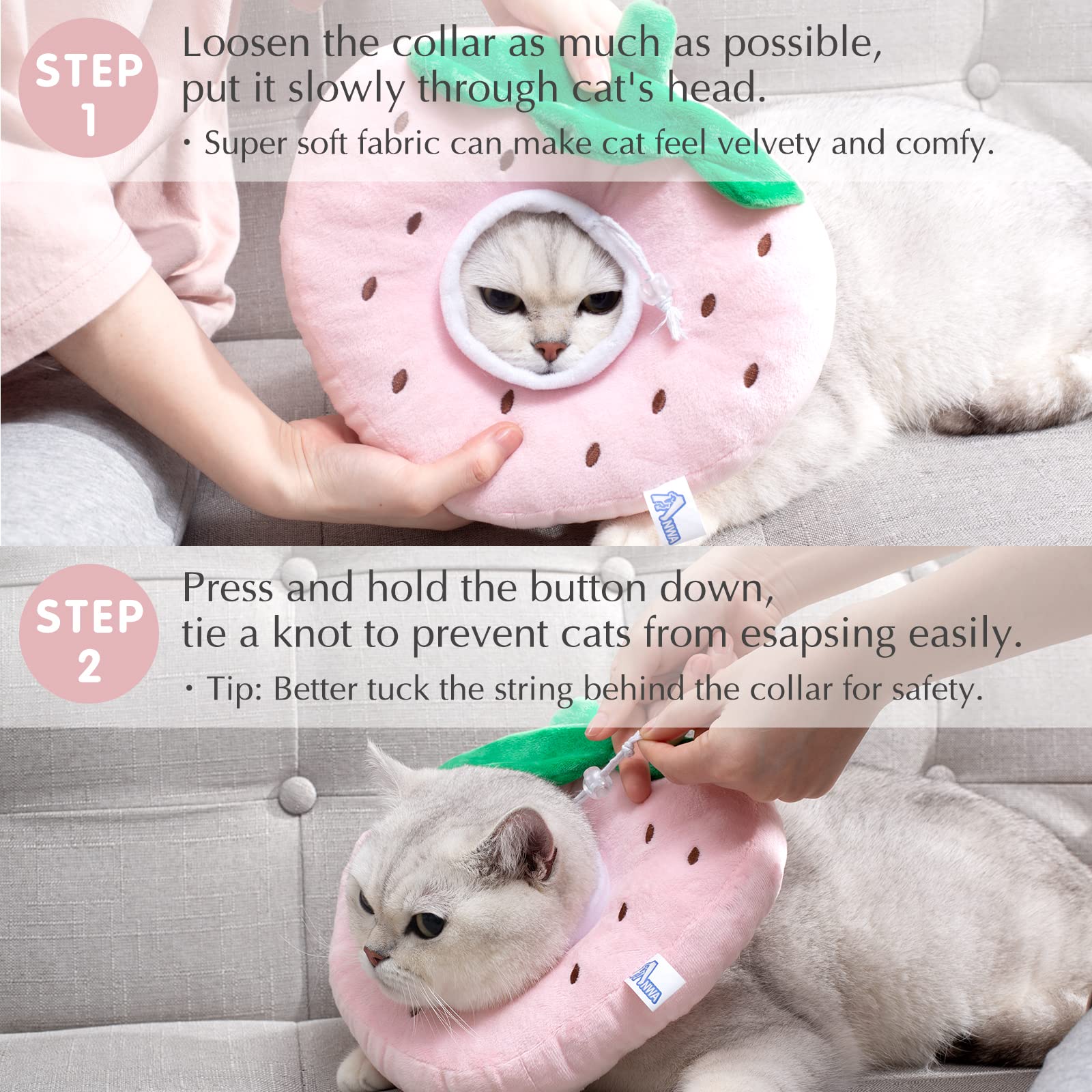 ANWA collier conique chat taille M – ajustement simple pour un maintien sûr