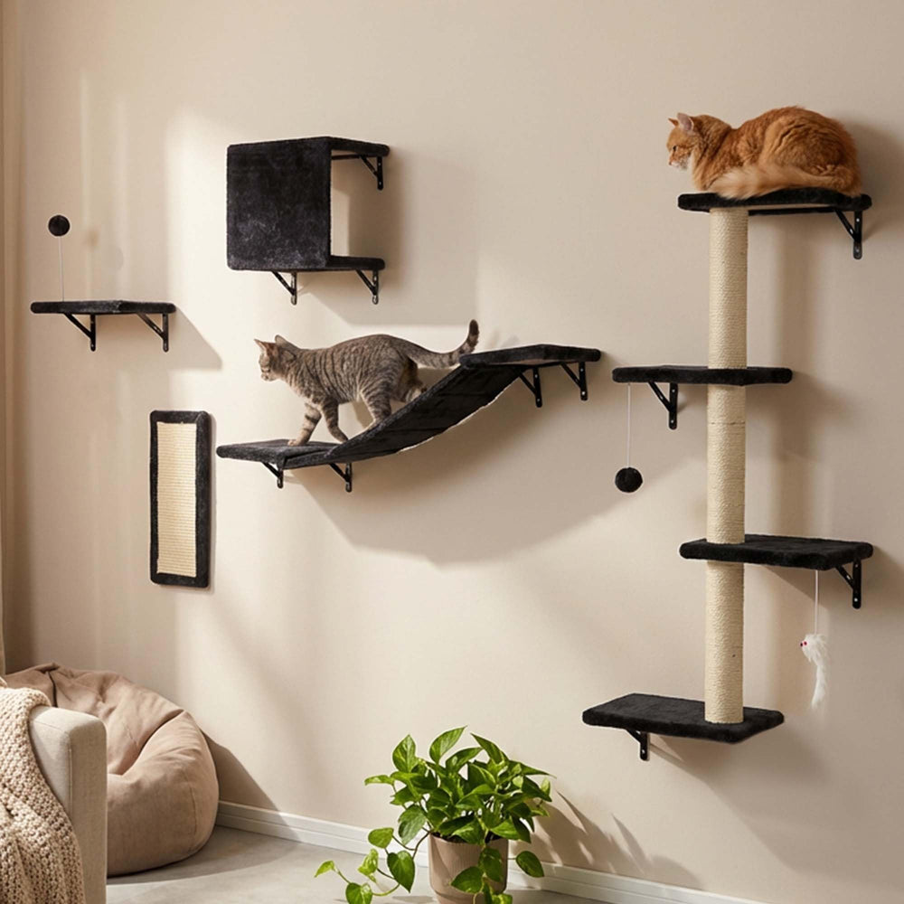 Utilisation quotidienne ANWA: chat actif et heureux, espace vertical.