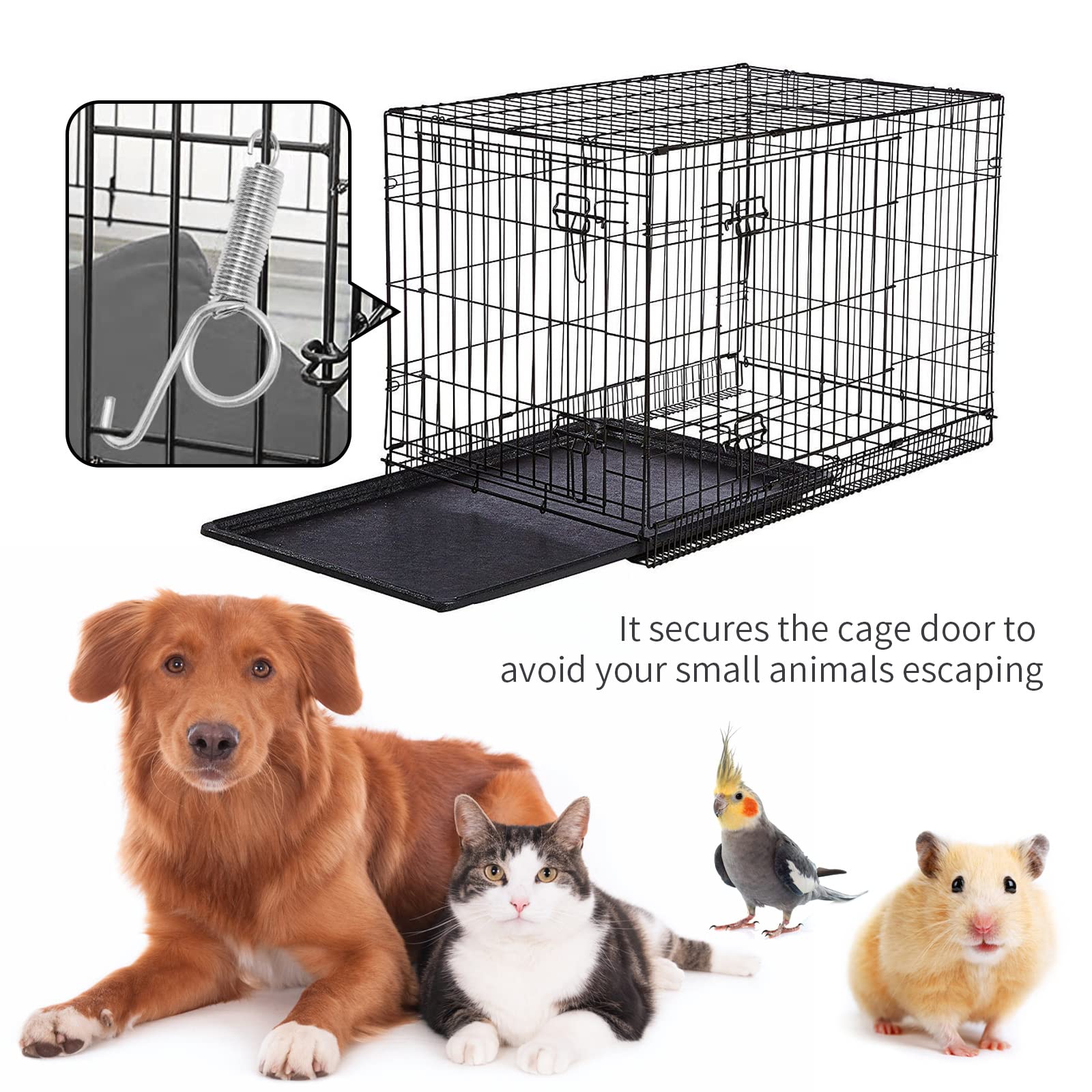 Loquet ressort Anxingo pour cage gerbille, durabilité fiable.