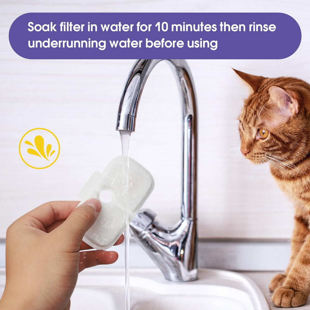 Emballage individuel propre et pratique pour le filtre AnyEnjoy chat.