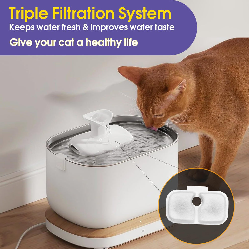 Filtre AnyEnjoy pour chat Petlibro PLWF115, assemblage simple et eau plus fraîche.