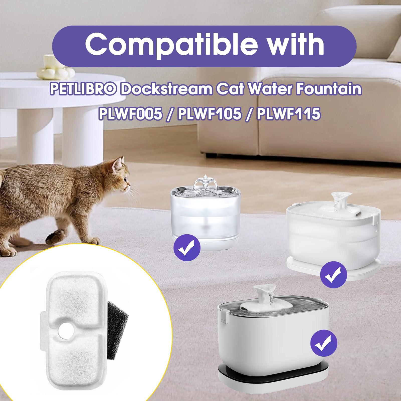 Rinçage préalable avec le filtre AnyEnjoy pour éviter poussière et assurer performance.