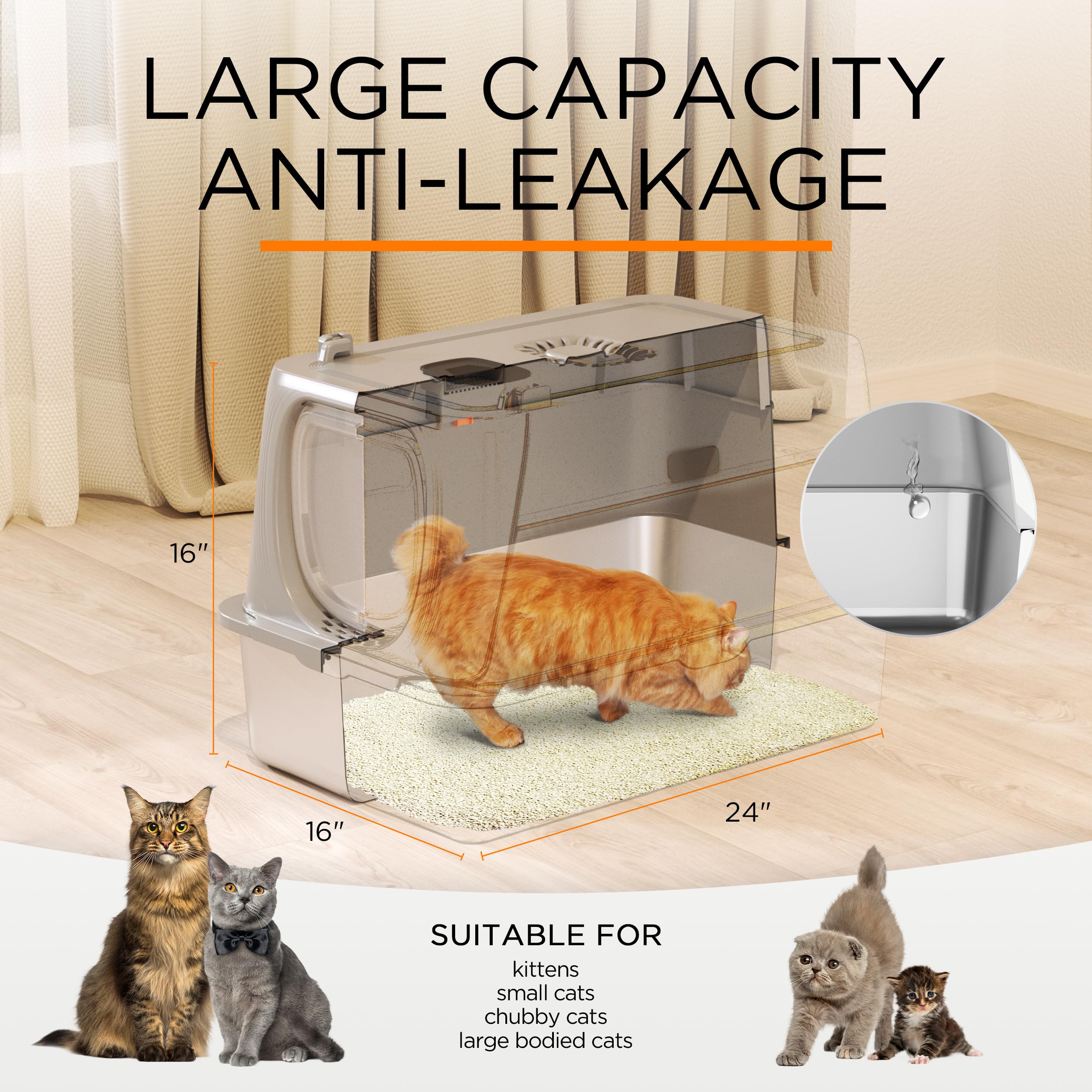 Anywish litière base anti adhérence et anti rouille