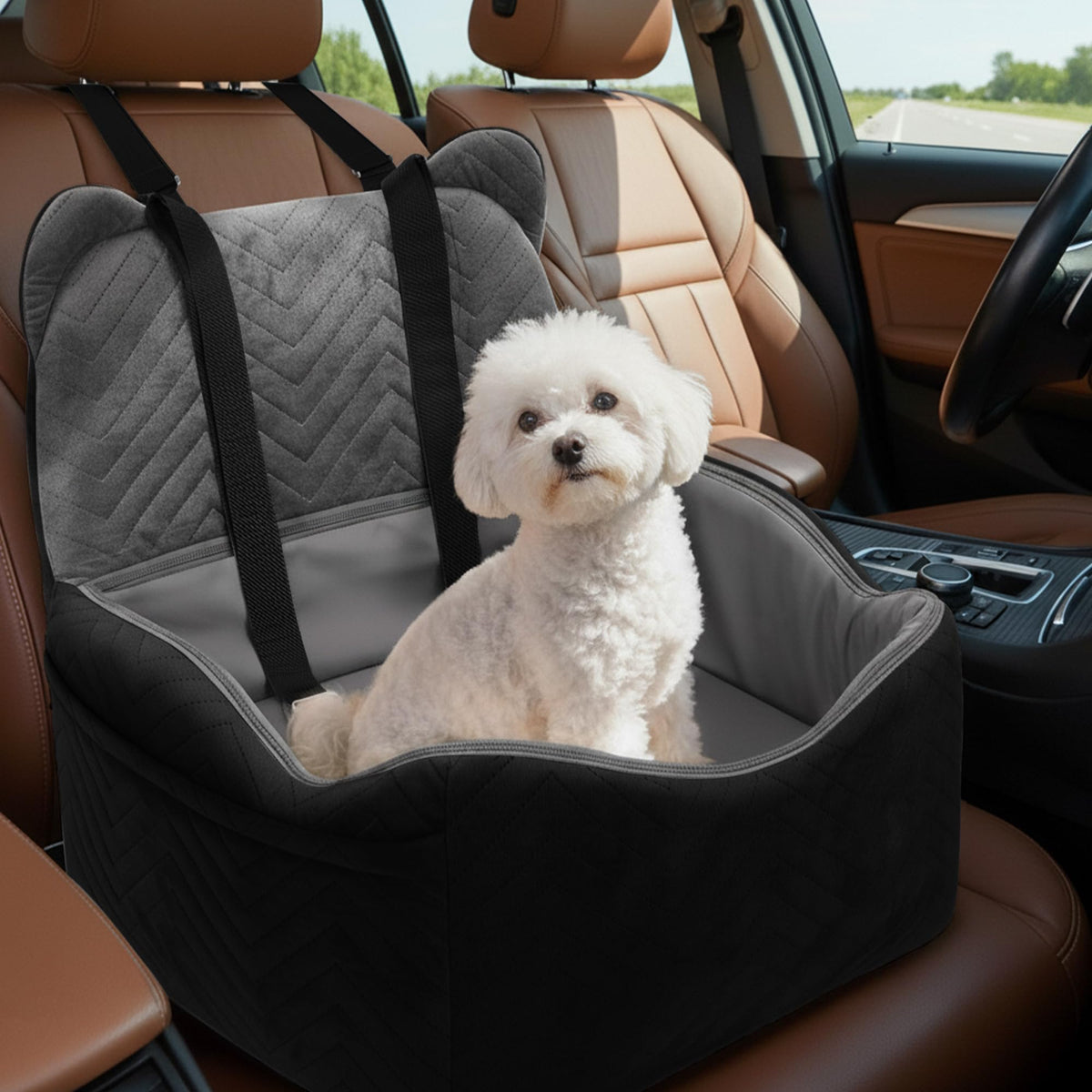 Anywish siège voiture chien petit moyen offre sécurité et confort en trajet.