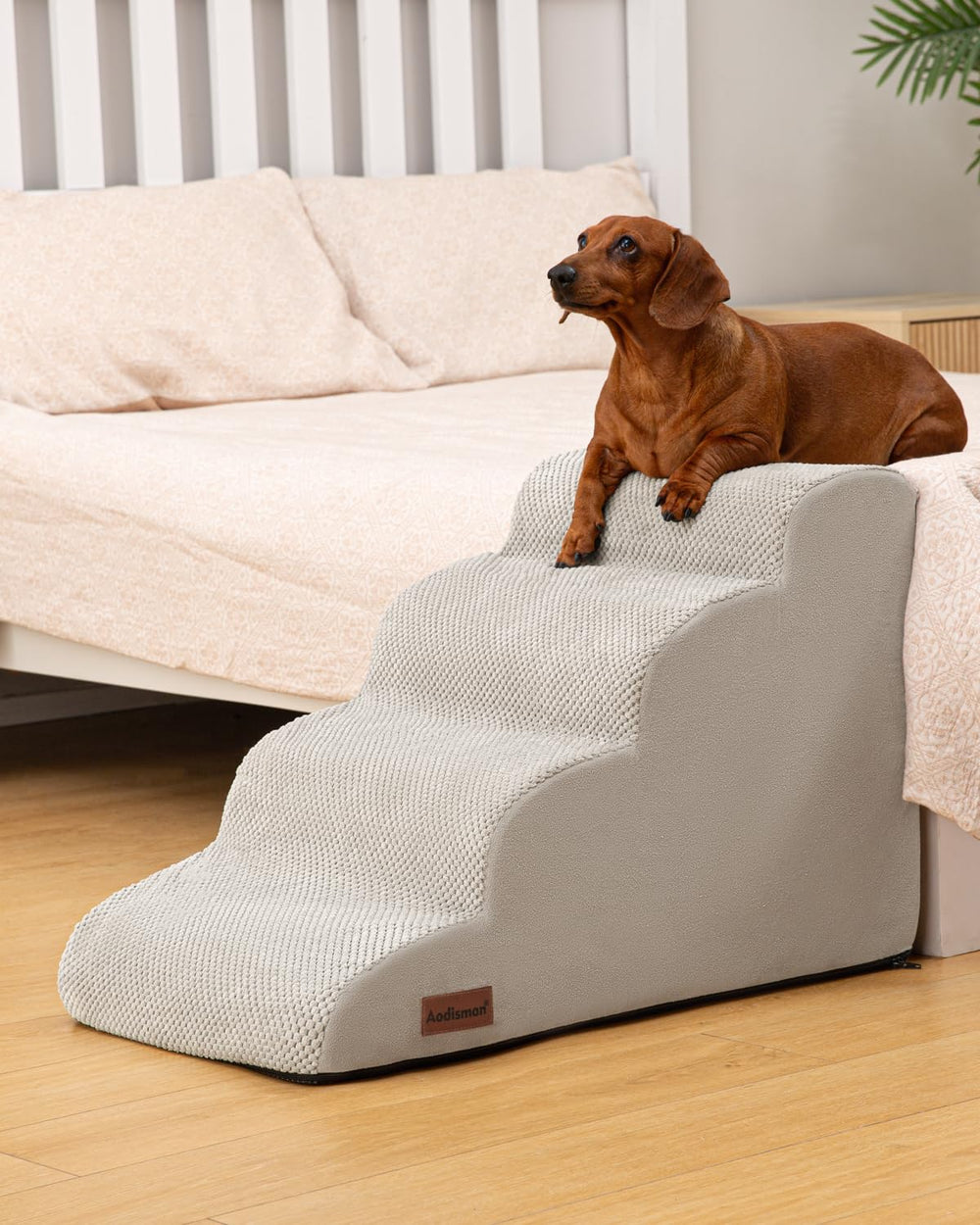 Aodisman escaliers chien antidérapants pour une stabilité accrue.
