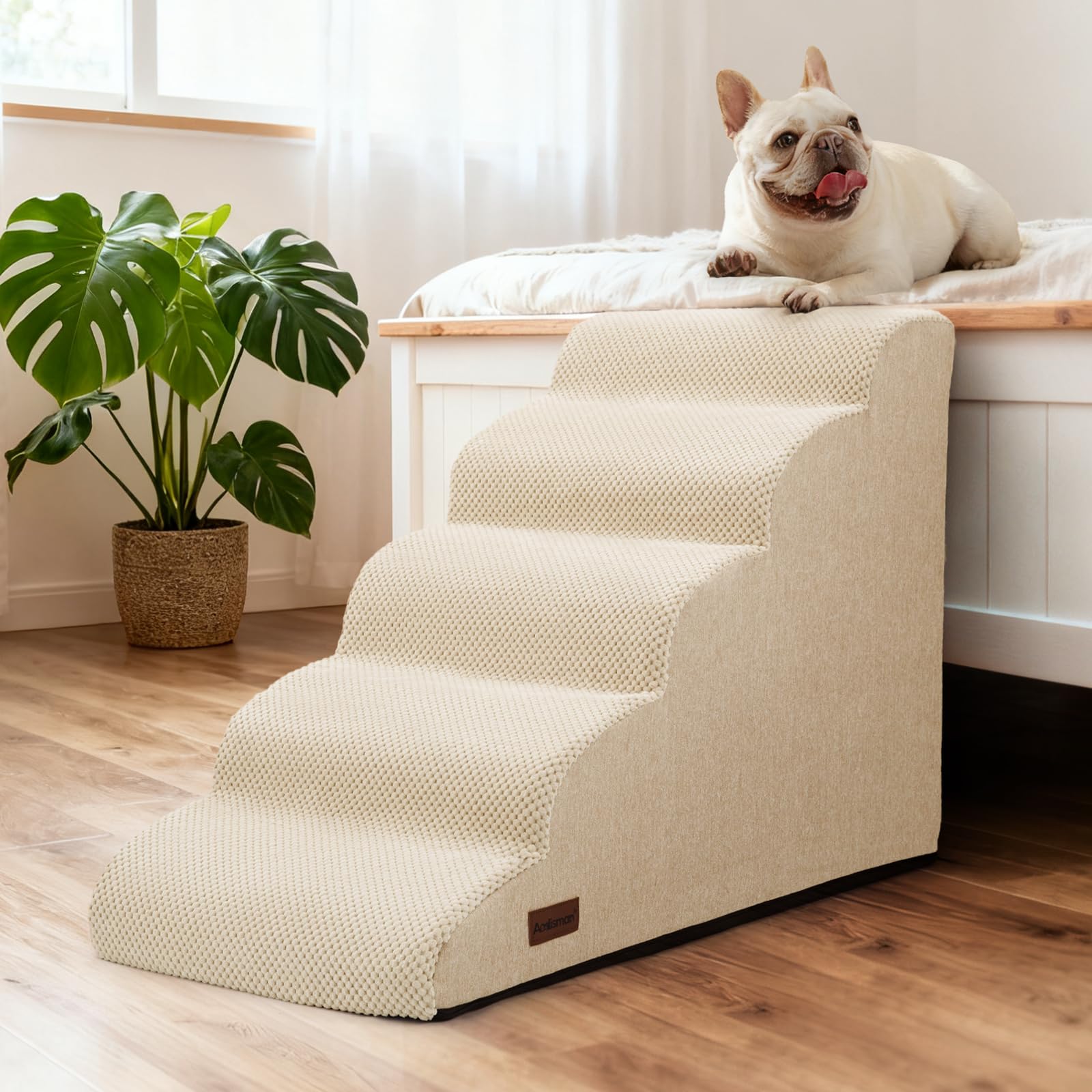 Aodisman usage intérieur pour chien et chat sur rampe beige