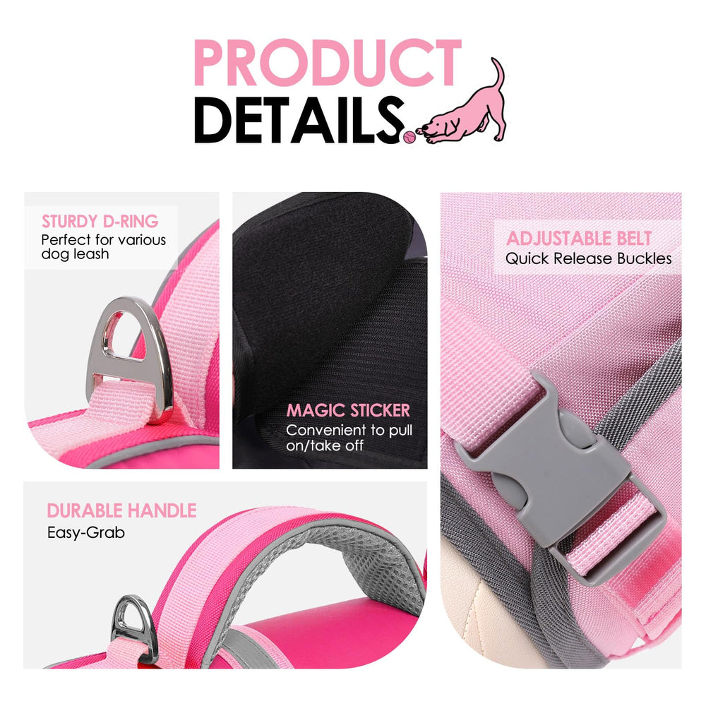 AOFITEE attaches reglables et boucles, ajustement sûr pour chien.