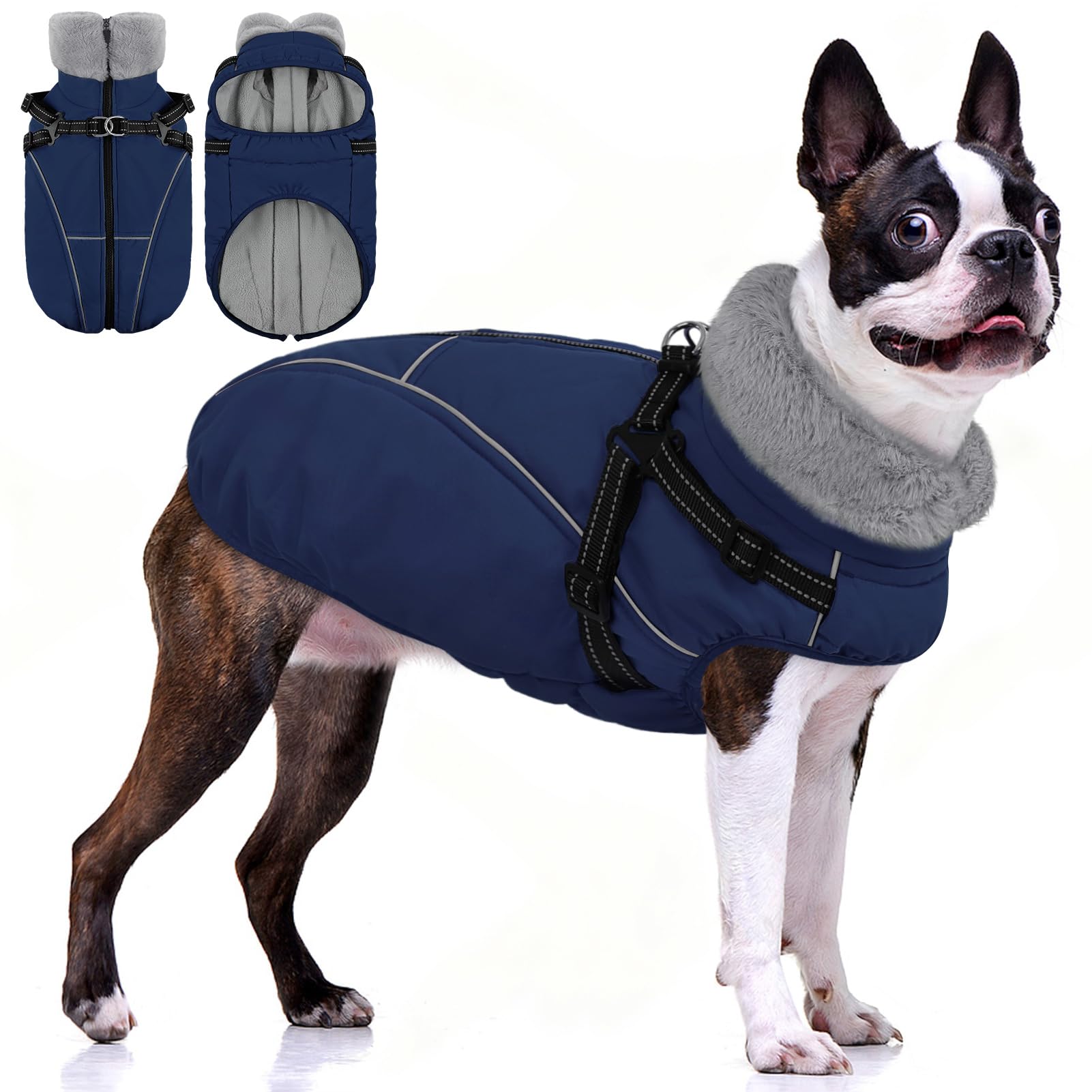 Manteau AOFITEE avec harnais intégré, idéal pour promenades hivernales et sécurité