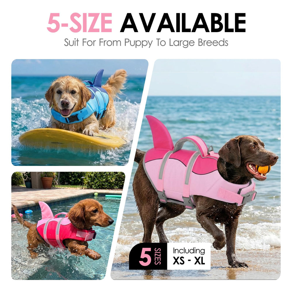 Chien portant gilet sauvetage AOFITEE, nage plus securisée.