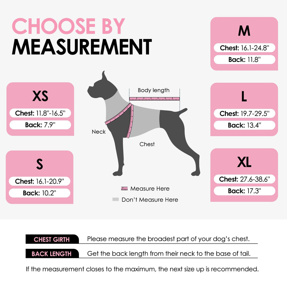 Design requin AOFITEE pour chien en nage.
