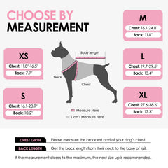 Design requin AOFITEE pour chien en nage.