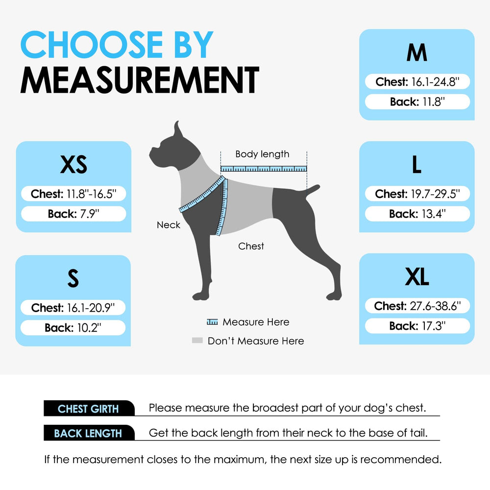 Design Requin du gilet chien, visuel distinct et moderne