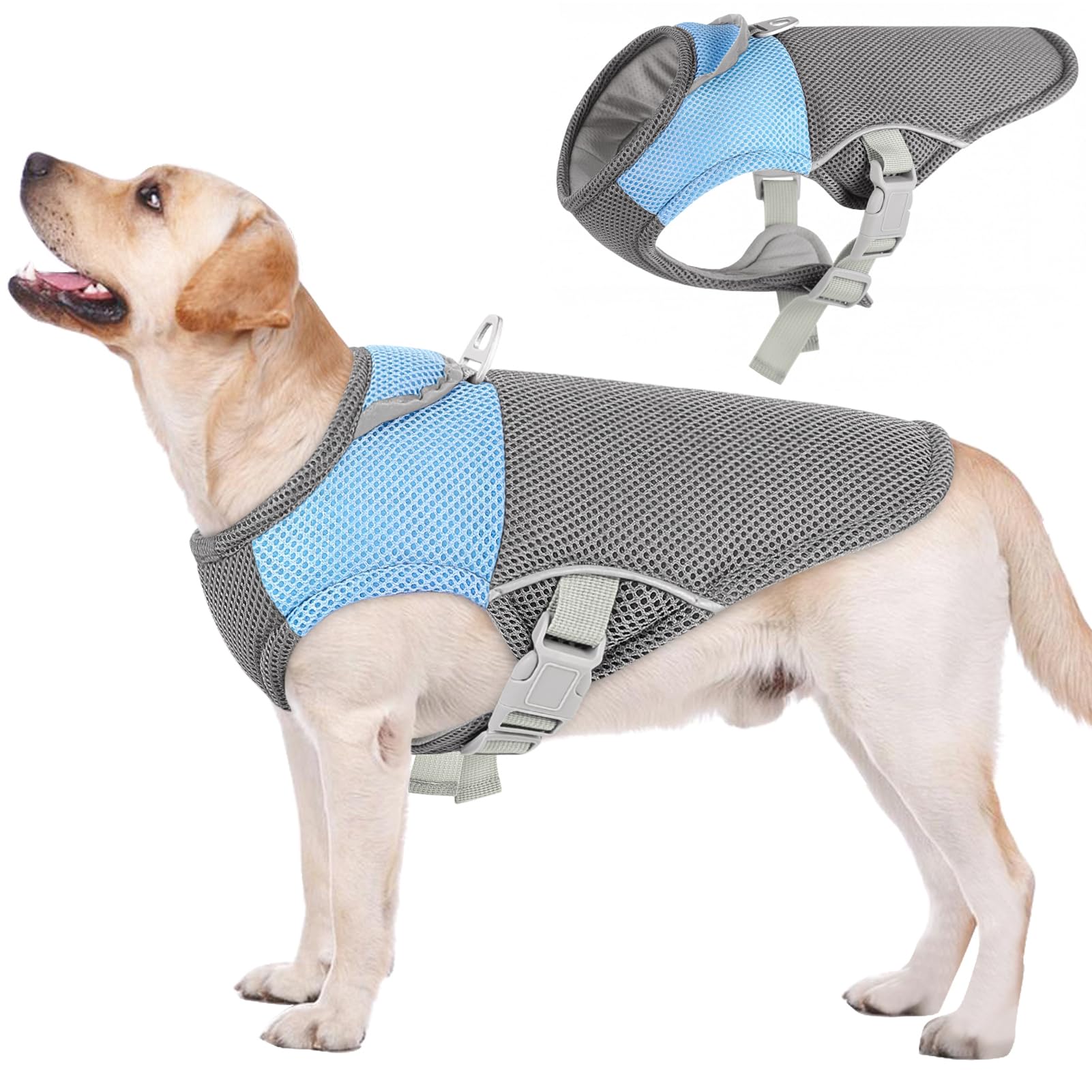 Gilet refroidissant AOFITEE bleu XL porté par un chien en promenade.