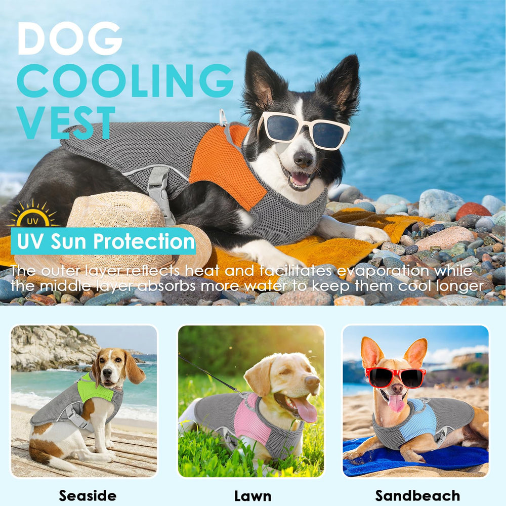 Gilet refroidissant AOFITEE pour chien, vue arrière, protection et ventilation améliorées.