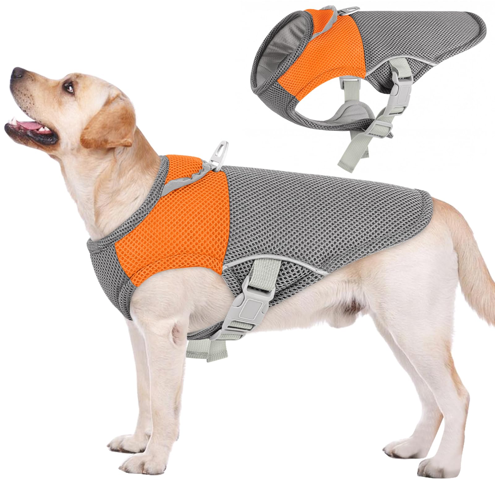 Gilet refroidissant AOFITEE pour chien, vue avant, confort frais pendant les sorties.