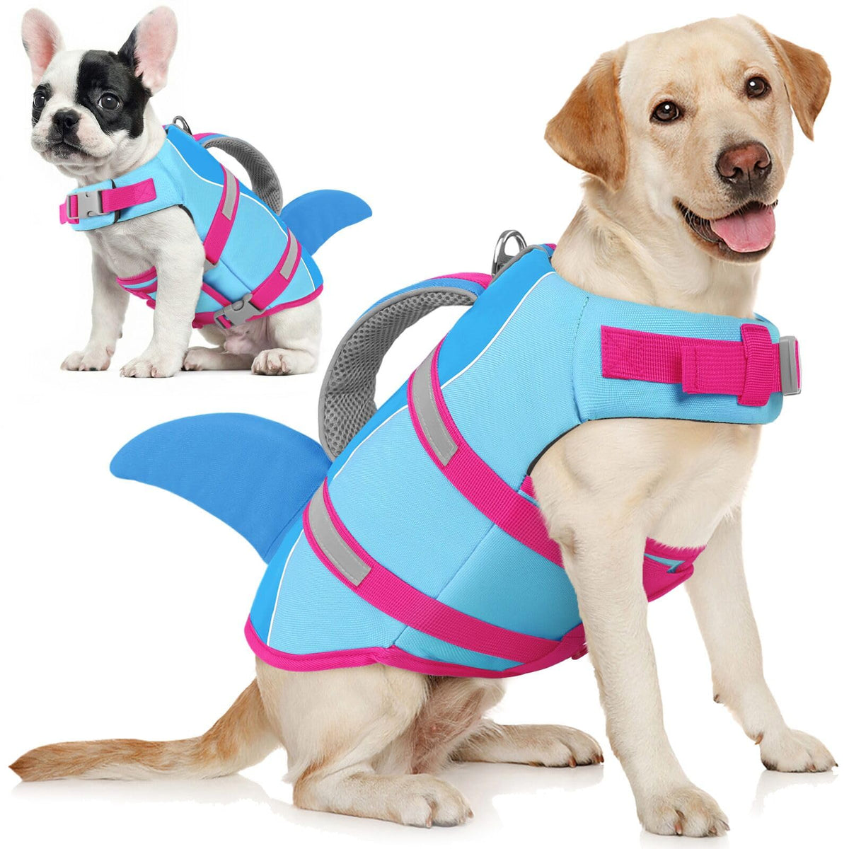 Gilet sauvetage AOFITEE pour chien, design requin, flottabilité fiable en nage